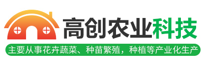 金越機(jī)械設(shè)備